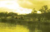 Environment