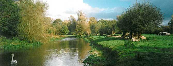 Environment consultancy