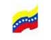Venezuelean Government